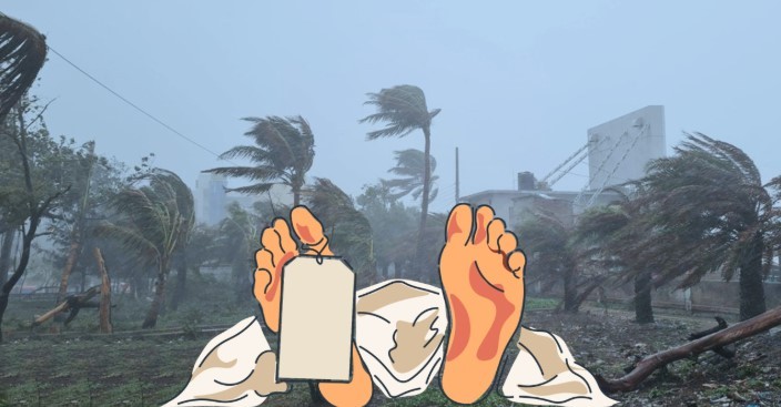 চুয়াডাঙ্গায় কালবৈশাখীর তাণ্ডব: তিনতলা ছাদ থেকে পড়ে বৃদ্ধের মৃত্যু